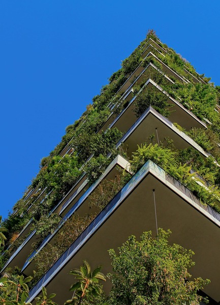 building-with-greenery
