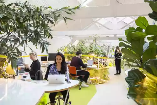 Second Home Holland Park coworking space